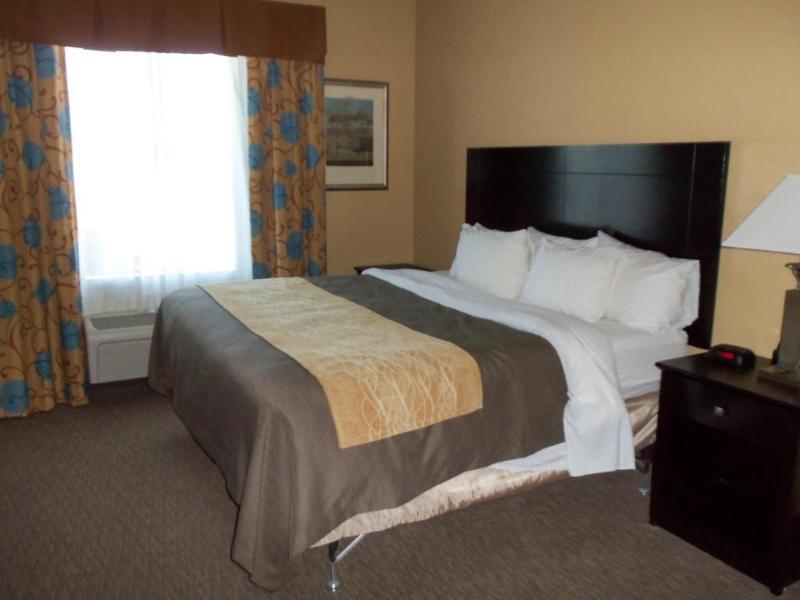 Comfort Inn Near Frost Bank Center Σαν Αντόνιο Εξωτερικό φωτογραφία