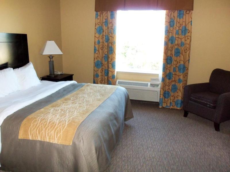 Comfort Inn Near Frost Bank Center Σαν Αντόνιο Εξωτερικό φωτογραφία